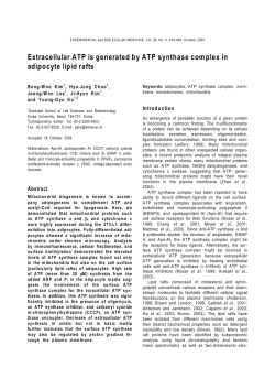Extracellular ATP is generated by ATP synthase