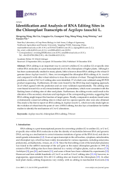 Identification and Analysis of RNA Editing Sites in the Chloroplast