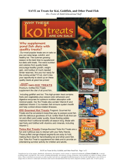 SAVE on Treats for Koi, Goldfish, and Other Pond Fish