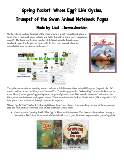 Spring Packet &ndash; Whose Egg? Life Cycles