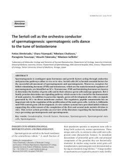 The Sertoli cell as the orchestra conductor of spermatogenesis