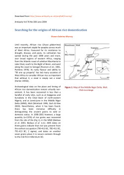 Searching for the origins of African rice domestication