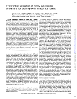 Preferential utilization of newly synthesized cholesterol for brain