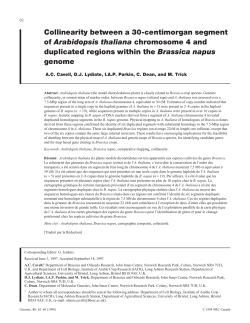 Collinearity between a 30-centimorgan segment of Arabidopsis