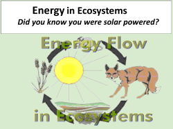 Energy in Ecosystems Part 1