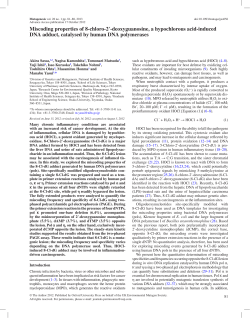 Miscoding properties of 8-chloro-2