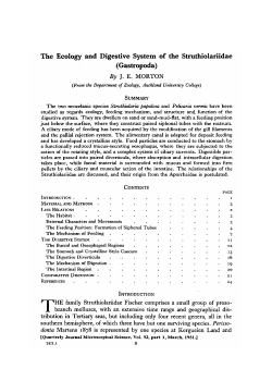 The Ecology and Digestive System of the Struthiolariidae