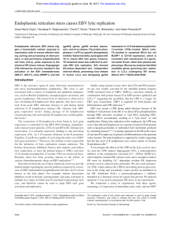 Endoplasmic reticulum stress causes EBV lytic