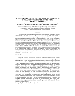 potassium nutrition of cotton (gossypium hirsutum l.) in relation to