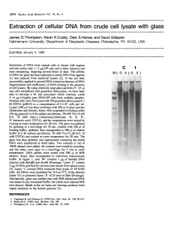 Extraction of cellular DNA from crude cell lysate with glass