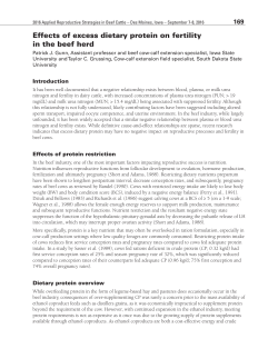 Effects of excess dietary protein on fertility in the beef herd