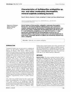 mineral-sulphide-oxidizing bacteria