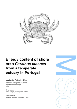 Energy content of shore crab Carcinus maenas from a temperate