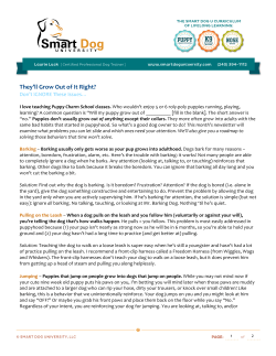 They`ll Grow Out of It Right?