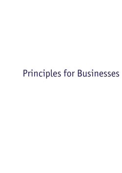 Principles for Businesses