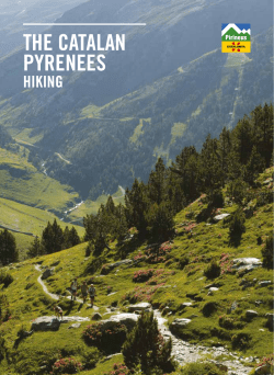 the catalan pyrenees