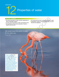 online online proofs oofs proofs