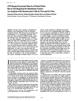 ATP Keeps Exocytosis Sites in a Primed State But Is Not Required