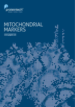 mitochondrial markers