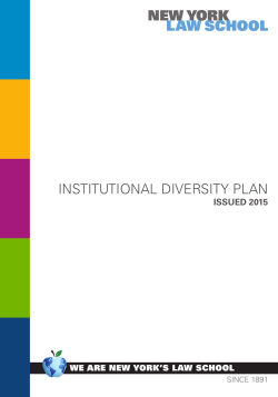 institutional diversity plan