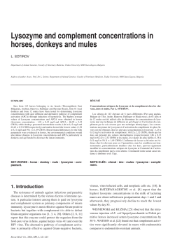 Lysozyme and complement concentrations in horses, donkeys and