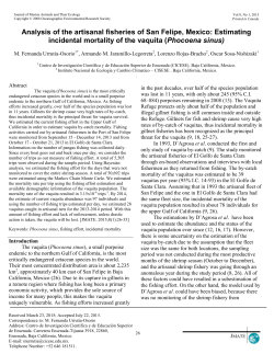 Estimating incidental mortality of the vaquita