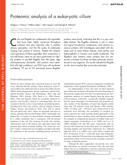 Proteomic analysis of a eukaryotic cilium