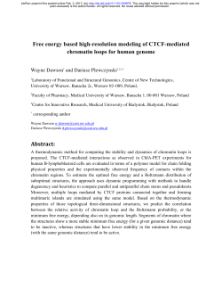Free energy based high-resolution modeling of CTCF