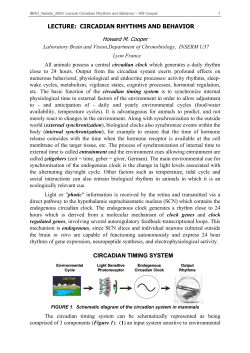 Circadian Rhythms and Behaviour