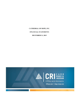 Audited Financial Statements