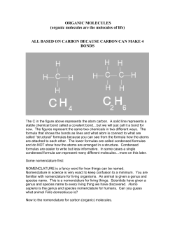 ORGANIC MOLECULES (organic molecules are the molecules of