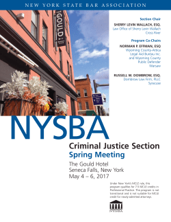 Criminal Justice Section Spring Meeting