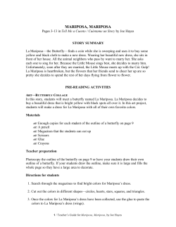 mariposa, mariposa - Cinco Puntos Press