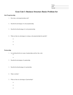 Econ Unit 3: Business Structure Basics Problem Set