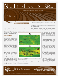 Silicon - International Plant Nutrition Institute