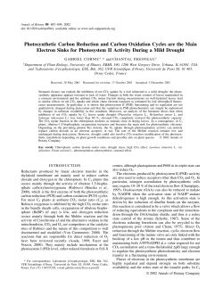 Photosynthetic Carbon Reduction and Carbon Oxidation Cycles are