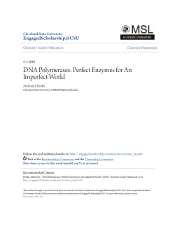 DNA Polymerases: Perfect Enzymes for An Imperfect World
