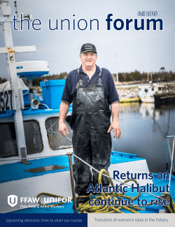 Returns on Atlantic Halibut continue to rise - FFAW
