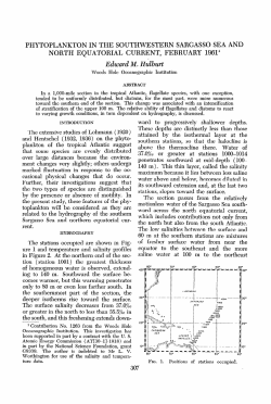 as a PDF