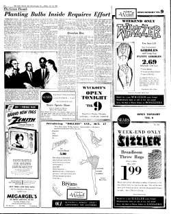 The Green Thumb Planting Bulbs Inside Requires