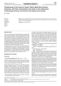 Pandanaceae of the island of Yapen, papua (West new Guinea
