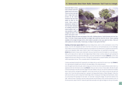 15. Newcastle West River Walk/ Demesne/ Rail Track to Ardagh