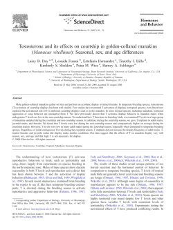 Testosterone and its effects on courtship in golden