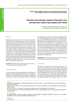 Detection and molecular analysis of Hop latent virus and Hop latent