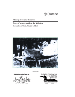 Deer conservation in winter - A question of food, fat and habitat