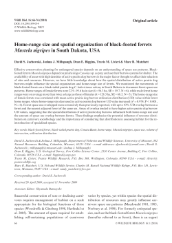 Home-range size and spatial organization of black-footed