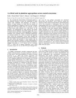 A critical scale in plankton aggregations across coastal ecosystems