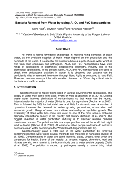 Bacteria Removal from Water by using Al2O3 and FeO Nanoparticles
