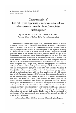Characteristics of five cell types appearing during in