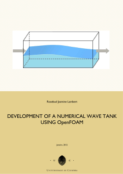 DEVELOPMENT OF A NUMERICAL WAVE TANK